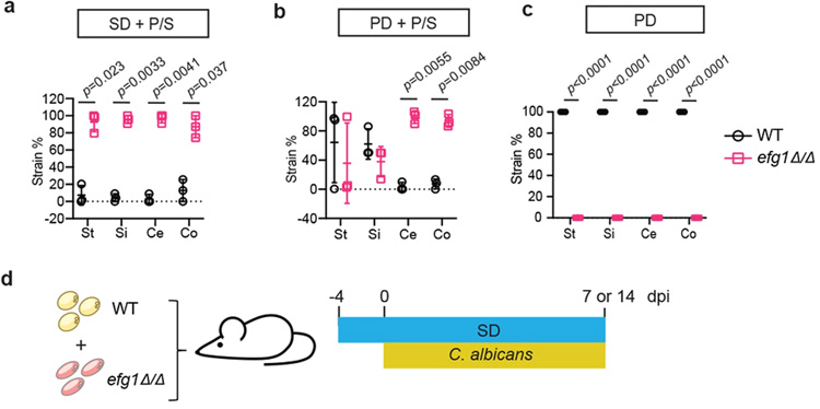 來自不同白色念珠菌菌株背景的WT和酵母鎖定的efg1Δ/Δ細(xì)胞的適應(yīng)性比較 來自不同白色念珠菌菌株背景的WT和酵母鎖定的efg1Δ/Δ細(xì)胞的適應(yīng)性比較