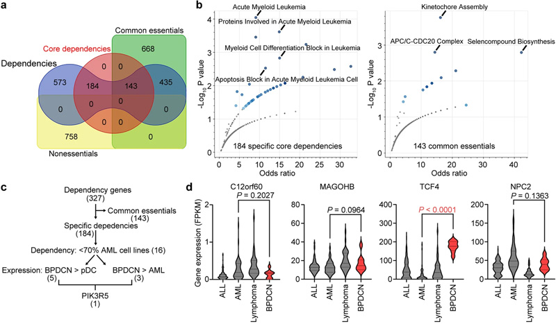 PIK3R5的表達(dá)在包括BPDCN的白血病亞群中顯著升高 PIK3R5的表達(dá)在包括BPDCN的白血病亞群中顯著升高
