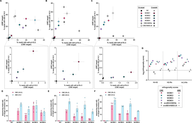 當(dāng)靶向不同染色體上的兩個(gè)原間隔體時(shí)，MOBEs和親本BEs的靶上和串?dāng)_編輯效率