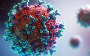 5天治愈90%重癥？減少70%新冠病毒感染？治療新冠特效藥怎么區(qū)分