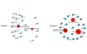 蛋白質(zhì)組學(xué)研究發(fā)現(xiàn)重癥COVID-19的血漿標(biāo)志物