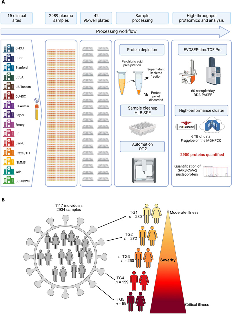 基于高通量LCMS的方法，用于分析數(shù)千個血漿樣本和隊列設(shè)計