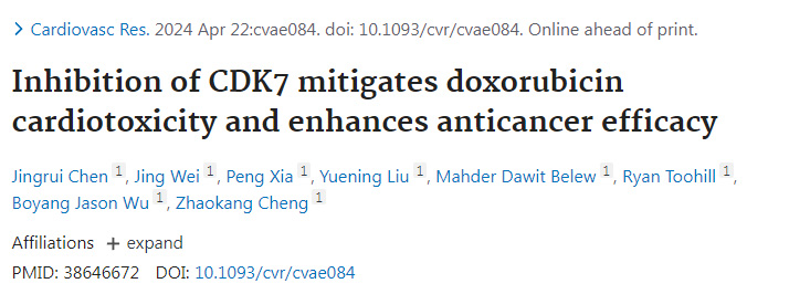 抑制細胞周期蛋白依賴性激酶7減輕阿霉素的心臟毒性并增強抗癌功效 抑制細胞周期蛋白依賴性激酶7減輕阿霉素的心臟毒性并增強抗癌功效