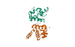 Nature：炎癥性腸病的主要原因