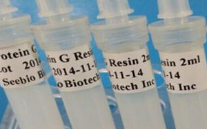 西寶生物 rProtein G SeePUR重組蛋白G親和層析預(yù)裝柱/填料系列產(chǎn)品-用于抗體純化！