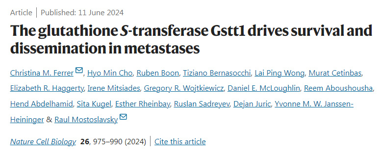 谷胱甘肽S-轉(zhuǎn)移酶Gstt1驅(qū)動(dòng)轉(zhuǎn)移瘤的存活和擴(kuò)散