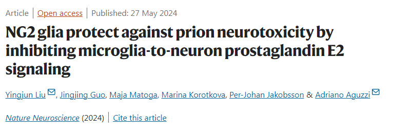 NLRC5感知NAD+損耗形成泛視小體并驅(qū)動(dòng)泛視癥和炎癥