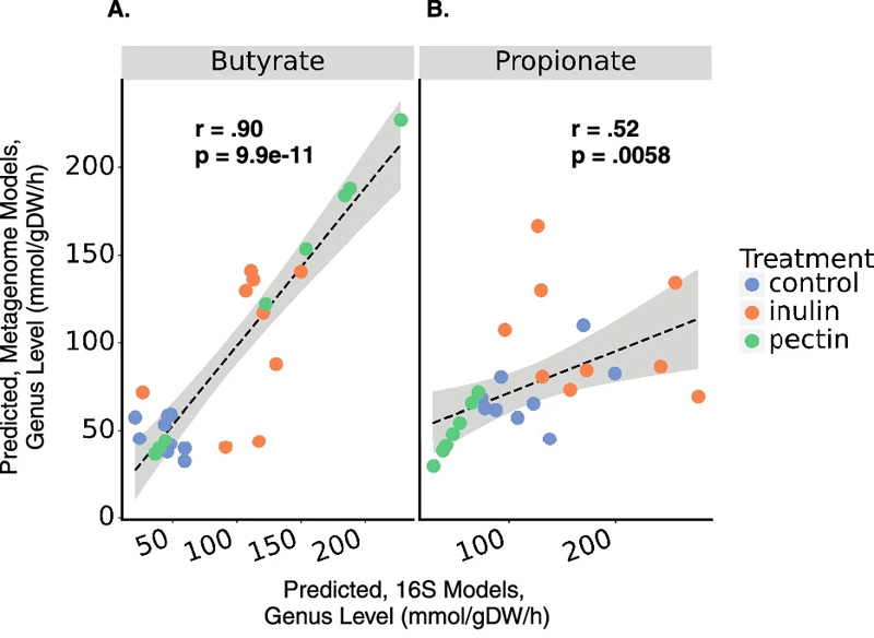 使用16S擴(kuò)增子測(cè)序或鳥槍宏基因組測(cè)序數(shù)據(jù)對(duì)SCFA產(chǎn)生的預(yù)測(cè)顯示出一致性