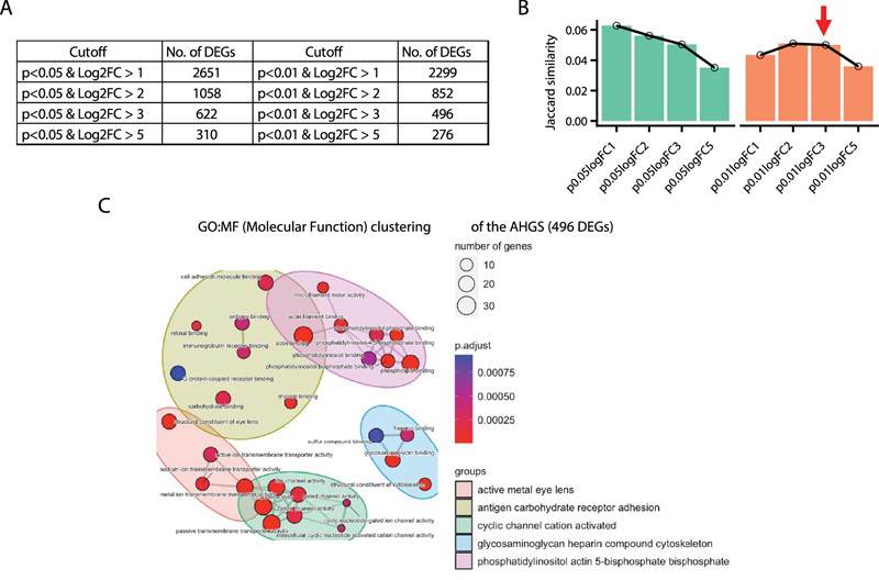 衰老肝細(xì)胞基因標(biāo)記（AHGS）的鑒定和表征