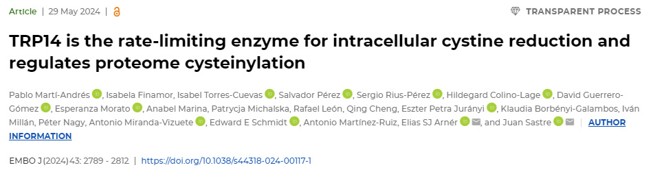 TRP14是細(xì)胞內(nèi)胱氨酸減少的限速酶，并調(diào)節(jié)蛋白質(zhì)組半胱氨酸化