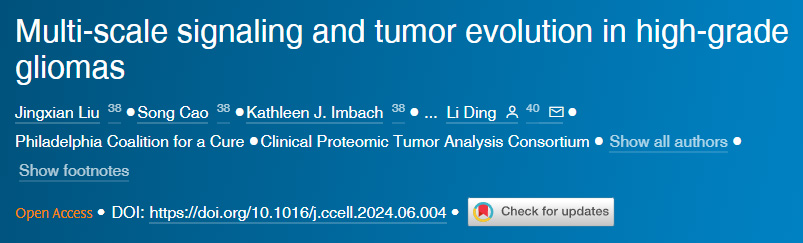 高級(jí)別膠質(zhì)瘤的多尺度信號(hào)傳導(dǎo)與腫瘤演變