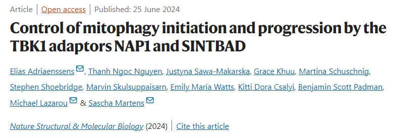 TBK1受體NAP1和SINTBAD對(duì)自噬起始和進(jìn)展的控制