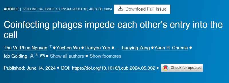 共同感染的噬菌體阻礙彼此進入細胞