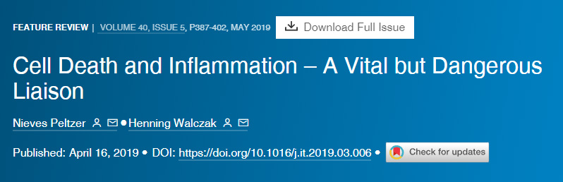 細(xì)胞死亡和炎癥重要但危險(xiǎn)的聯(lián)系