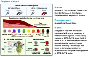 針對印度突變株活病毒的疫苗中和活性研究公布