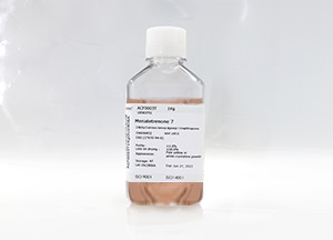 SeeBM03 CHO基礎(chǔ)培養(yǎng)基(液體)