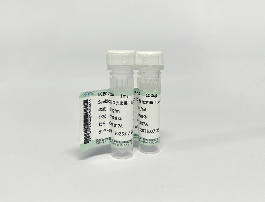 Seebio? 熒光素酶(Luciferase) Seebio? 熒光素酶(Luciferase)
