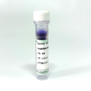 Seebio?非預染低分子量蛋白質(zhì)分子量標準，3.1~41?kDa